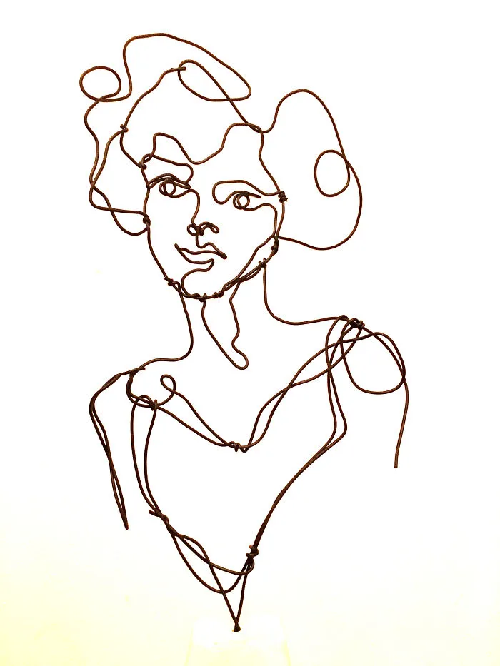 I "Draw" Using Wire