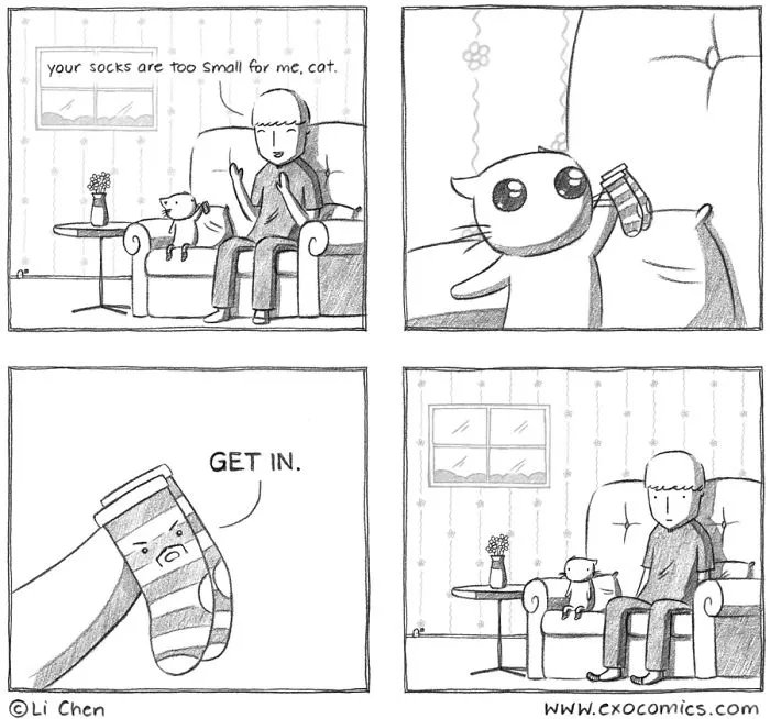 My Silly Cat Inspired Me To Start Doing Comics As A Hobby, And Now It's My Full-Time Job