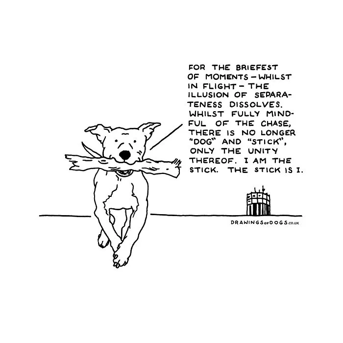 After My Anxiety Forced Me To Drop Out Of A Philosophy PhD I Started Drawing Dog Comics