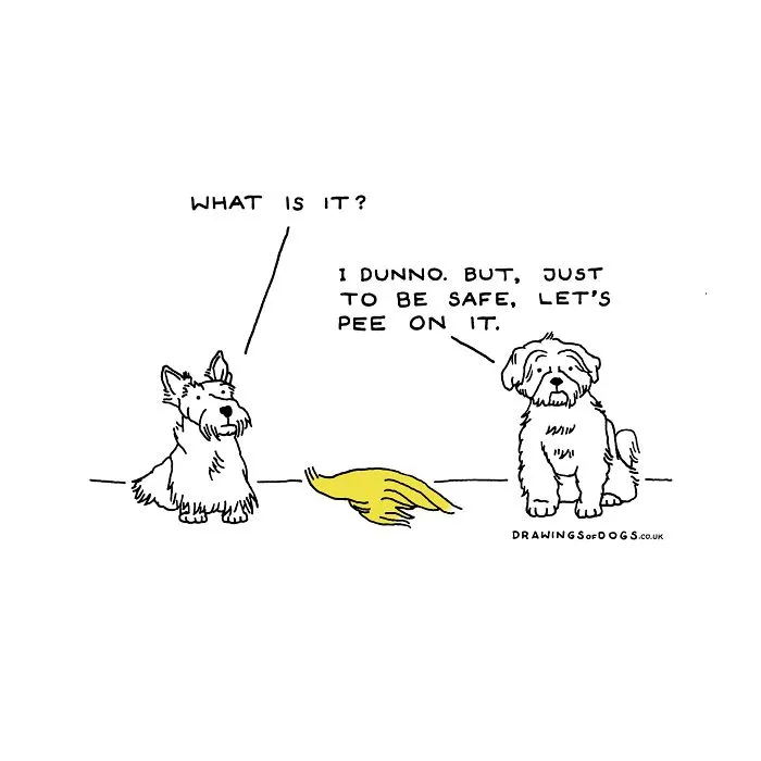 After My Anxiety Forced Me To Drop Out Of A Philosophy PhD I Started Drawing Dog Comics