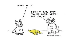 After My Anxiety Forced Me To Drop Out Of A Philosophy PhD I Started Drawing Dog Comics