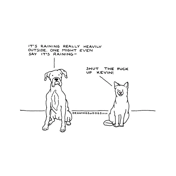 After My Anxiety Forced Me To Drop Out Of A Philosophy PhD I Started Drawing Dog Comics