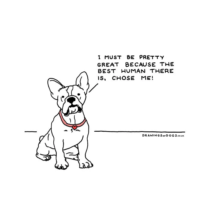 After My Anxiety Forced Me To Drop Out Of A Philosophy PhD I Started Drawing Dog Comics