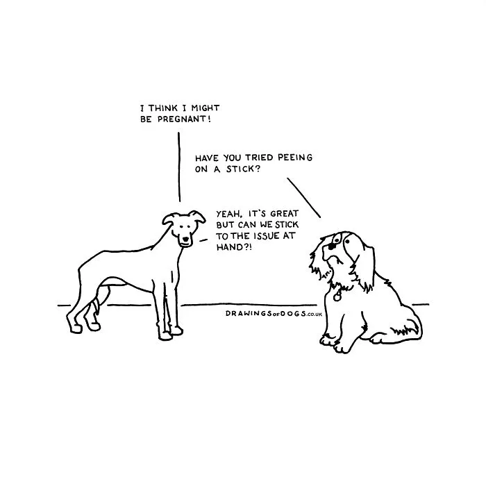 After My Anxiety Forced Me To Drop Out Of A Philosophy PhD I Started Drawing Dog Comics