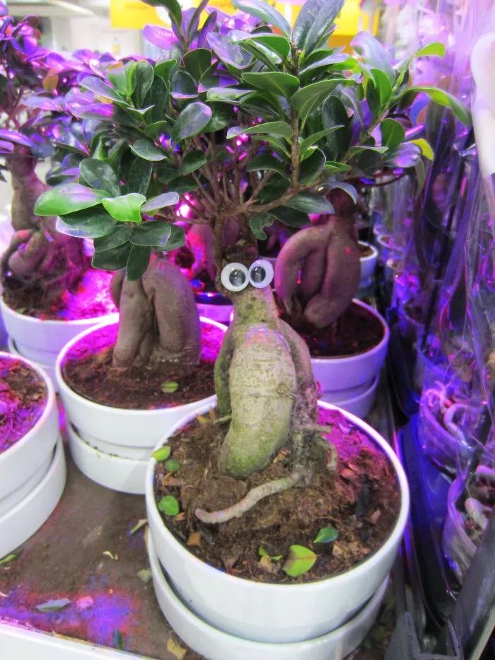 Eye-Kea: I Put Googly Eyes On IKEA Products