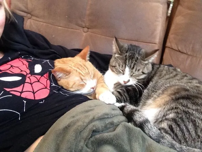 I Guess I Will Join Too
