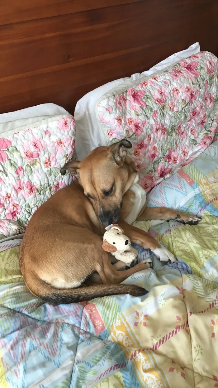 Making Sure Her Baby Is Tucked In