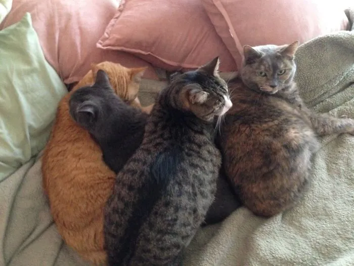 Don't Mind Me...