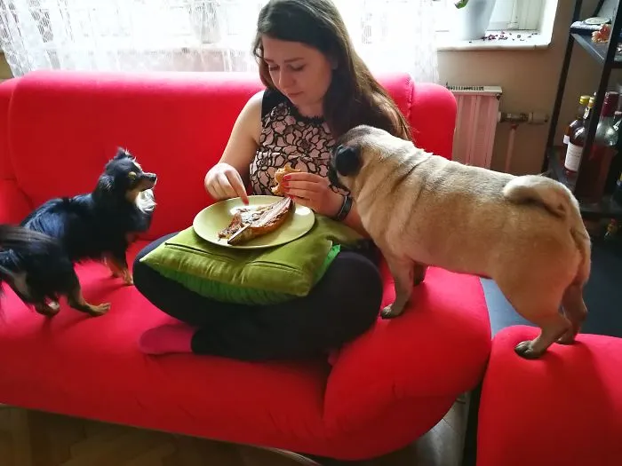 No les permito ponerse a mirar cuando estamos comiendo, así que se miran mutuamente