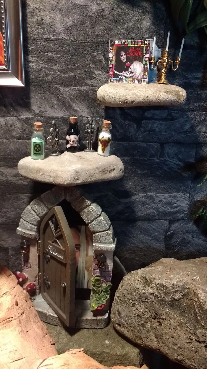 I Pimped My Vivarium!