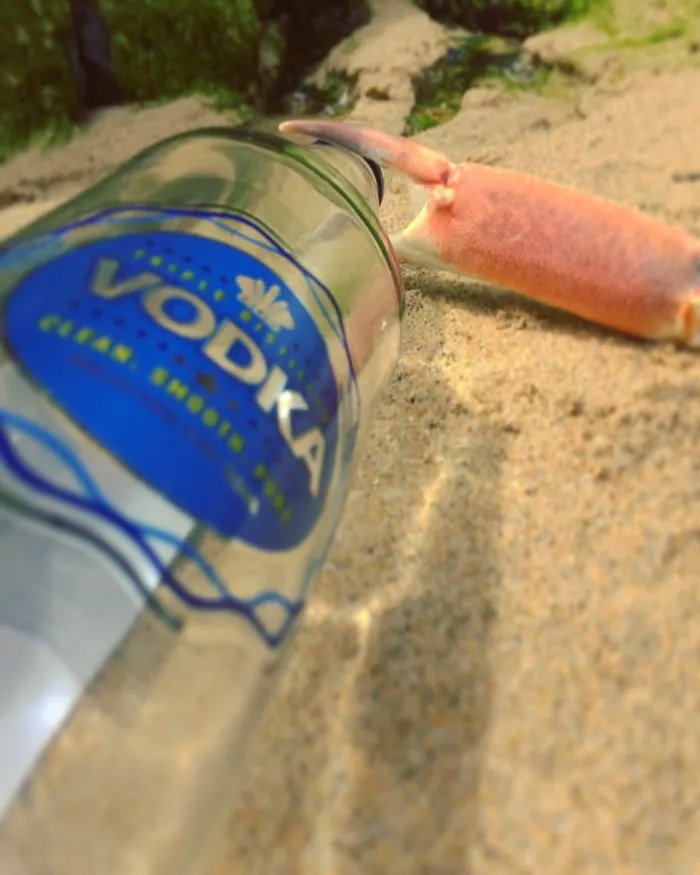 Crabnasty Is An Alcoholic