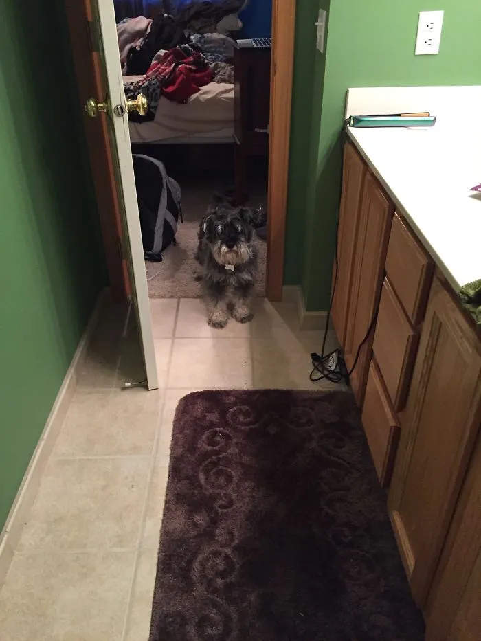 Afraid To Be Alone In My Bedroom, But Afraid To Come Into The Bathroom.