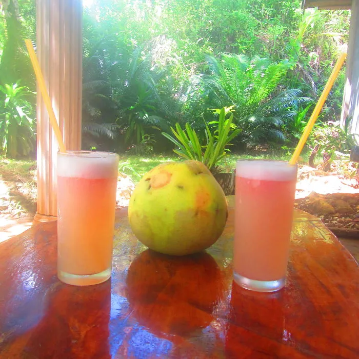 How To Make A Healthy Tropical Shake