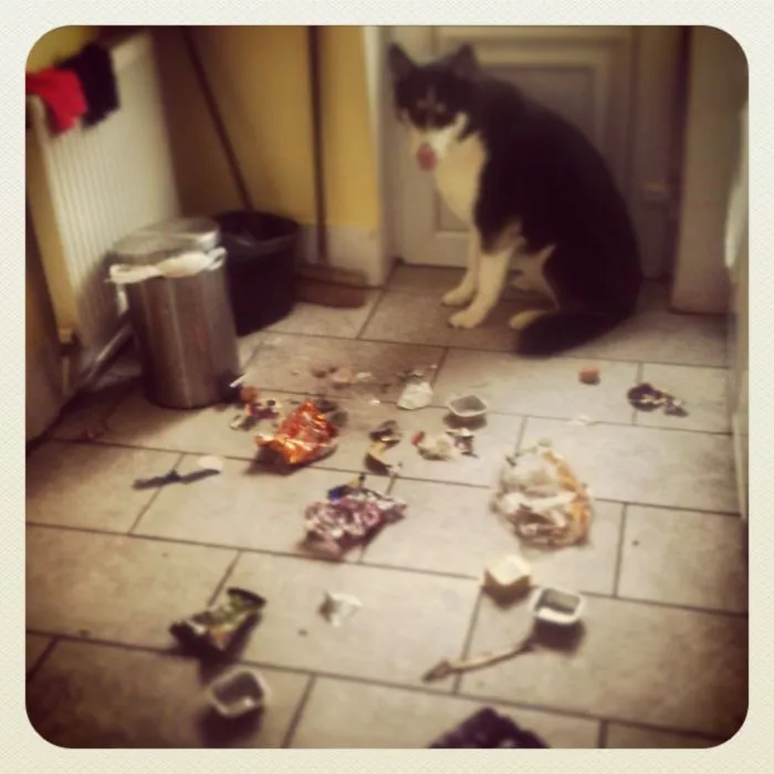 My Hubby Said He Took Out The Trash, Came Home To This.