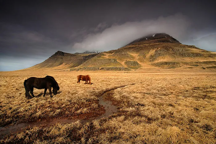 24 Photos Of Unreal Nordic Fairy Tale That I Took During My Trip To Iceland