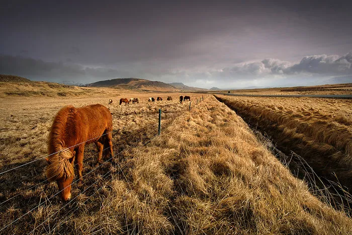 24 Photos Of Unreal Nordic Fairy Tale That I Took During My Trip To Iceland