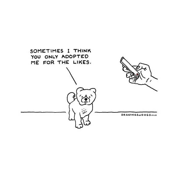 After My Anxiety Forced Me To Drop Out Of A Philosophy PhD I Started Drawing Dog Comics