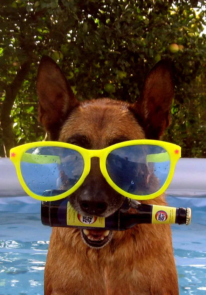 Hot Summer Day In The Pool