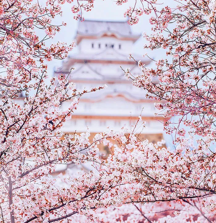 Castillo Himeji-Jo