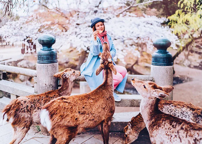 Nara