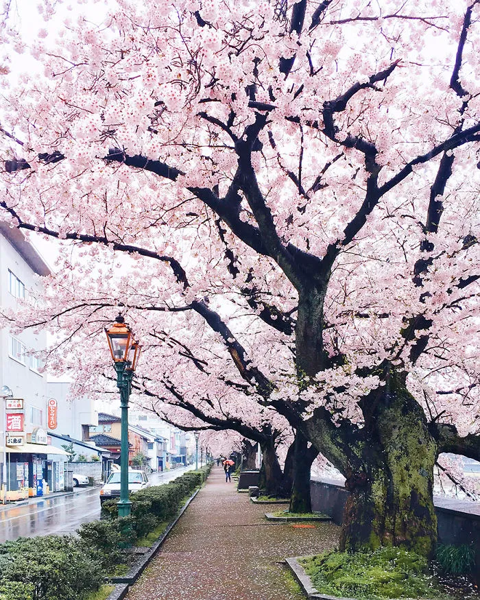 Kanazawa