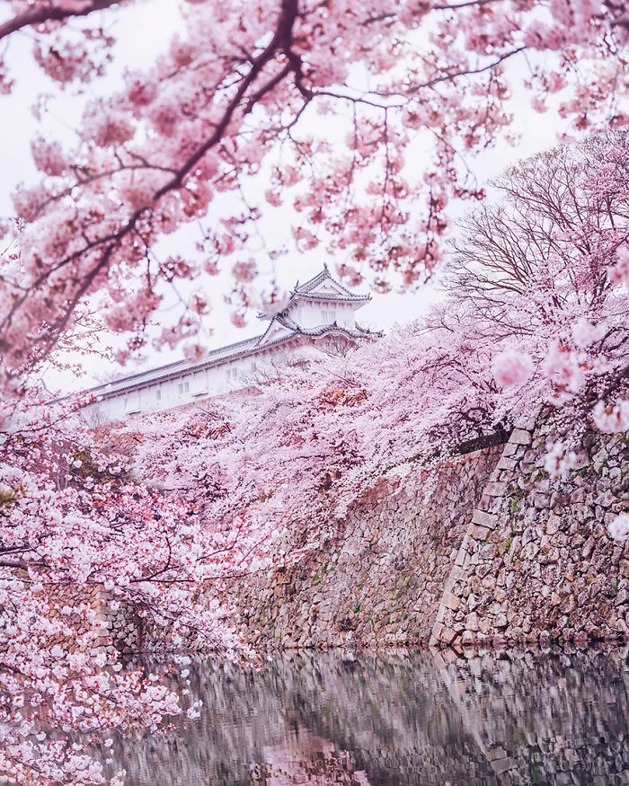 Castillo Himeji-Jo