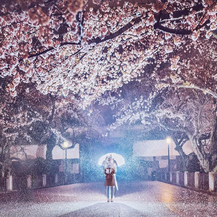 Tokyo, Chidoriga-fuchi