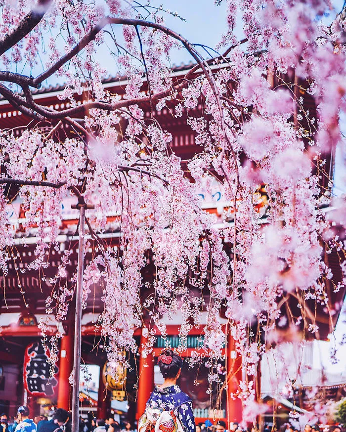 Tokyo, Asakusa