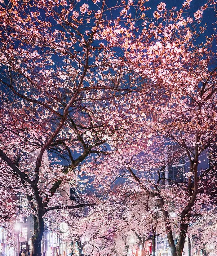 Osaka