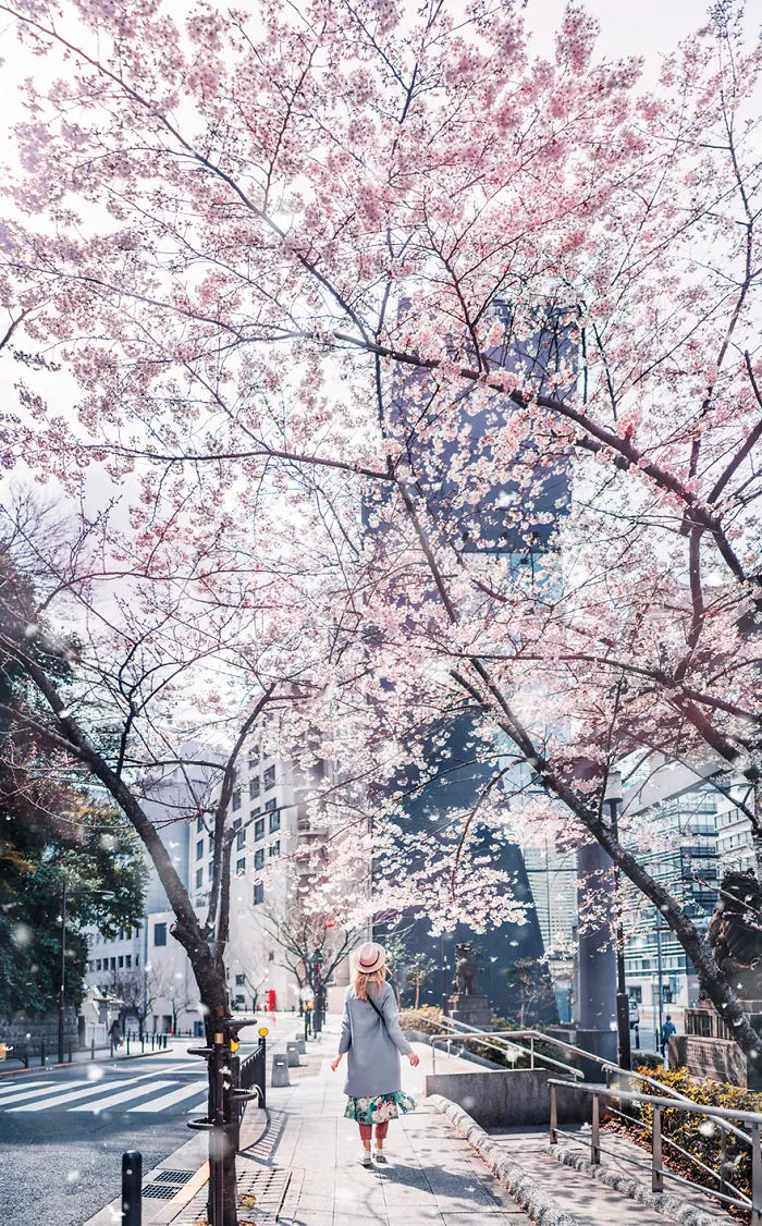 Tokyo, Akasaka