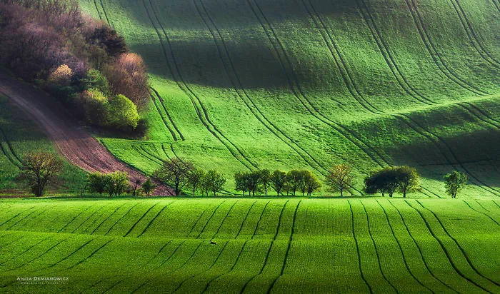 I Captured The Most Beautiful Places In South Moravian Region In Czech Republic