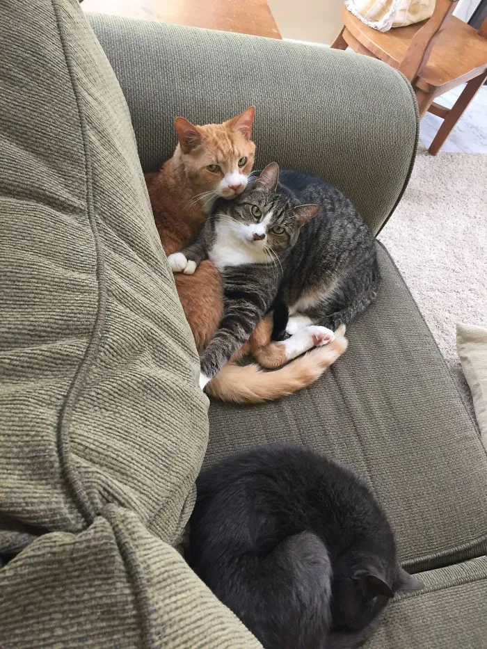 Yes?