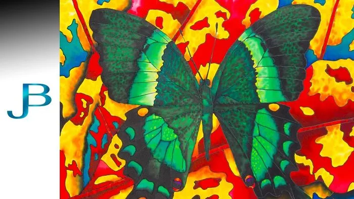 The Art Of Butterflies.