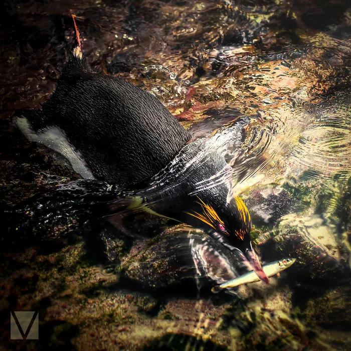 Gone Fishing