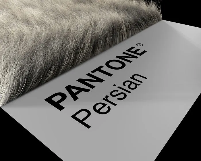 Persian Prospective