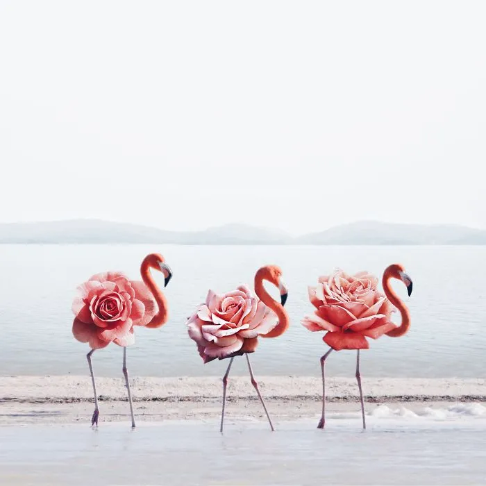 I'm An 18-Year-Old Artist From Portugal And I Like Merging Unexpected Objects To Create Surreal Art