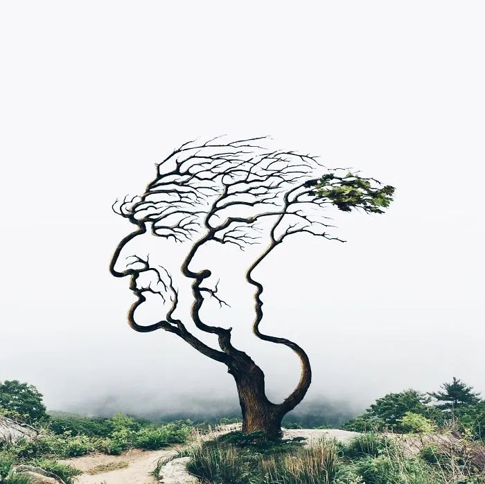 I'm An 18-Year-Old Artist From Portugal And I Like Merging Unexpected Objects To Create Surreal Art