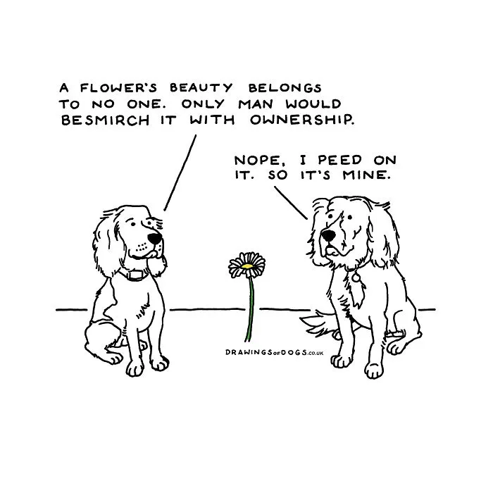 After My Anxiety Forced Me To Drop Out Of A Philosophy PhD I Started Drawing Dog Comics