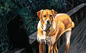 Artist Hides Cat In Plain Sight!