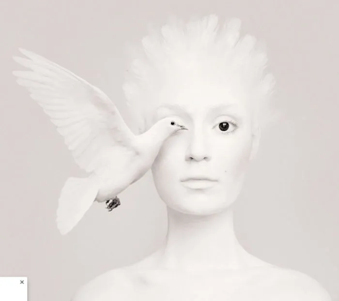 Bird Queen