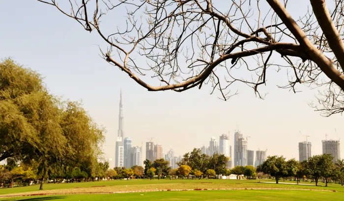 Find Best Places  In Dubai At Safa Park - Visit Dubai Daily Tours