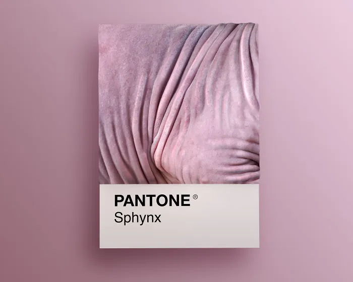 Sphynx