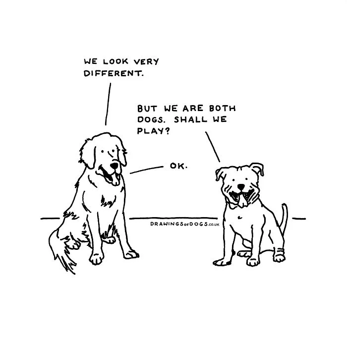 After My Anxiety Forced Me To Drop Out Of A Philosophy PhD I Started Drawing Dog Comics