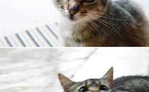 Expectations Vs. Reality: How You Imagine Your Photos To Look Like Versus How You Actually Look