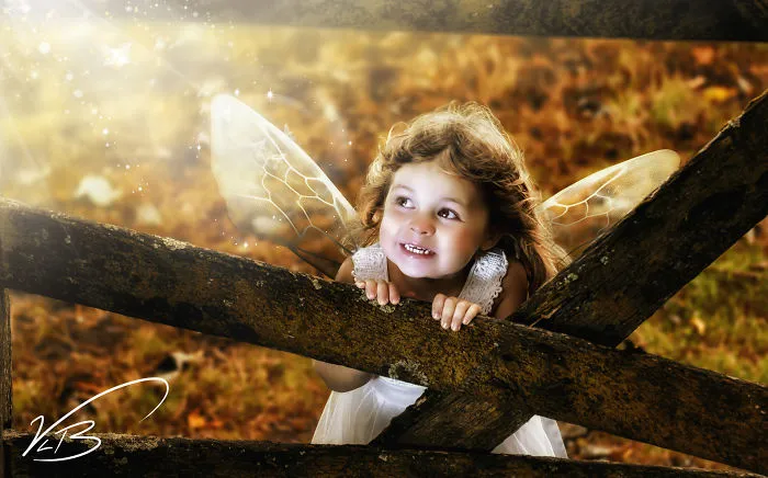 Farm Fairy