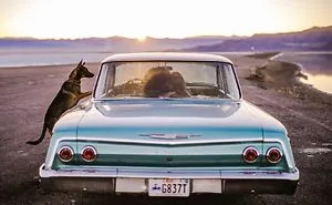 Top 50 Engagement Photos Of 2017