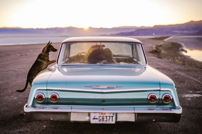 Top 50 Engagement Photos Of 2017