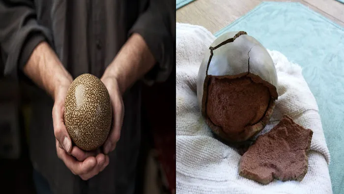 These Perfectly Shaped Balls Of Mud Are Suddenly Really Popular And There’s A Reason Why