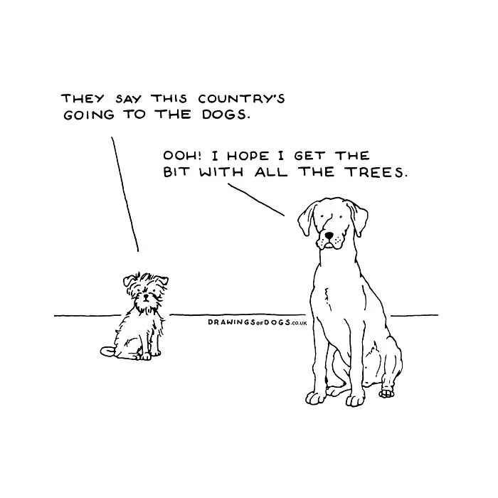 After My Anxiety Forced Me To Drop Out Of A Philosophy PhD I Started Drawing Dog Comics