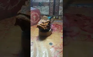 Smaug The Terrible